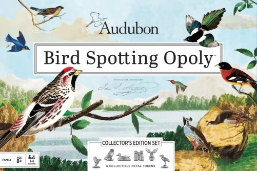 Audubon Bird Spotting Monopoly Collectors Edition Board Game MasterPieces