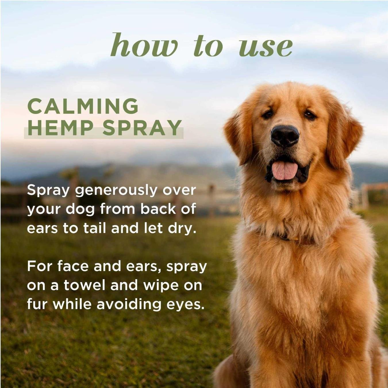 Burt's Bees Pets Natural Calming Spray for Dogs Seed Oil and Lavender 10oz - Image 5